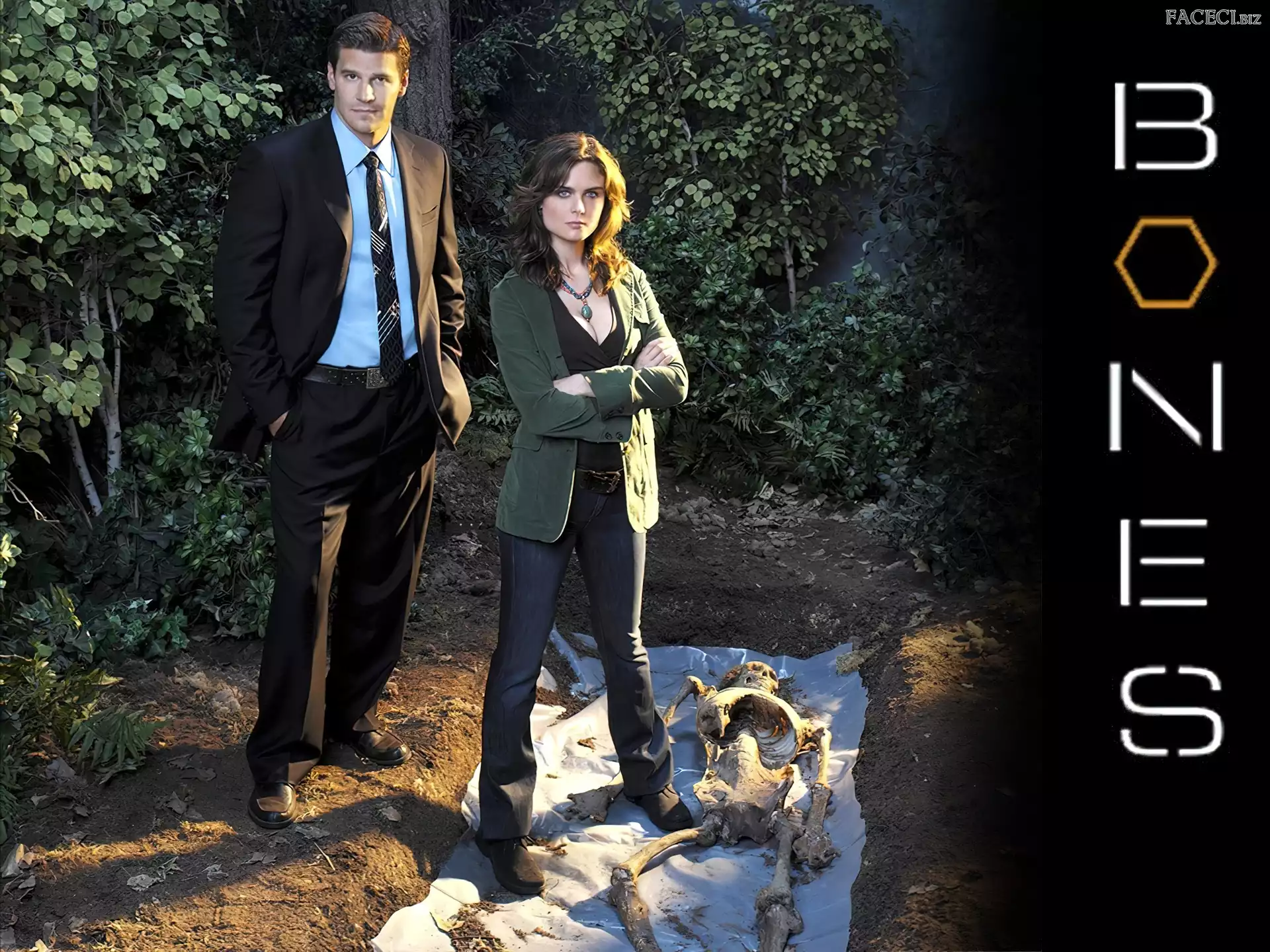 Emily Deschanel, David Boreanaz, Bones, Serial, Kości